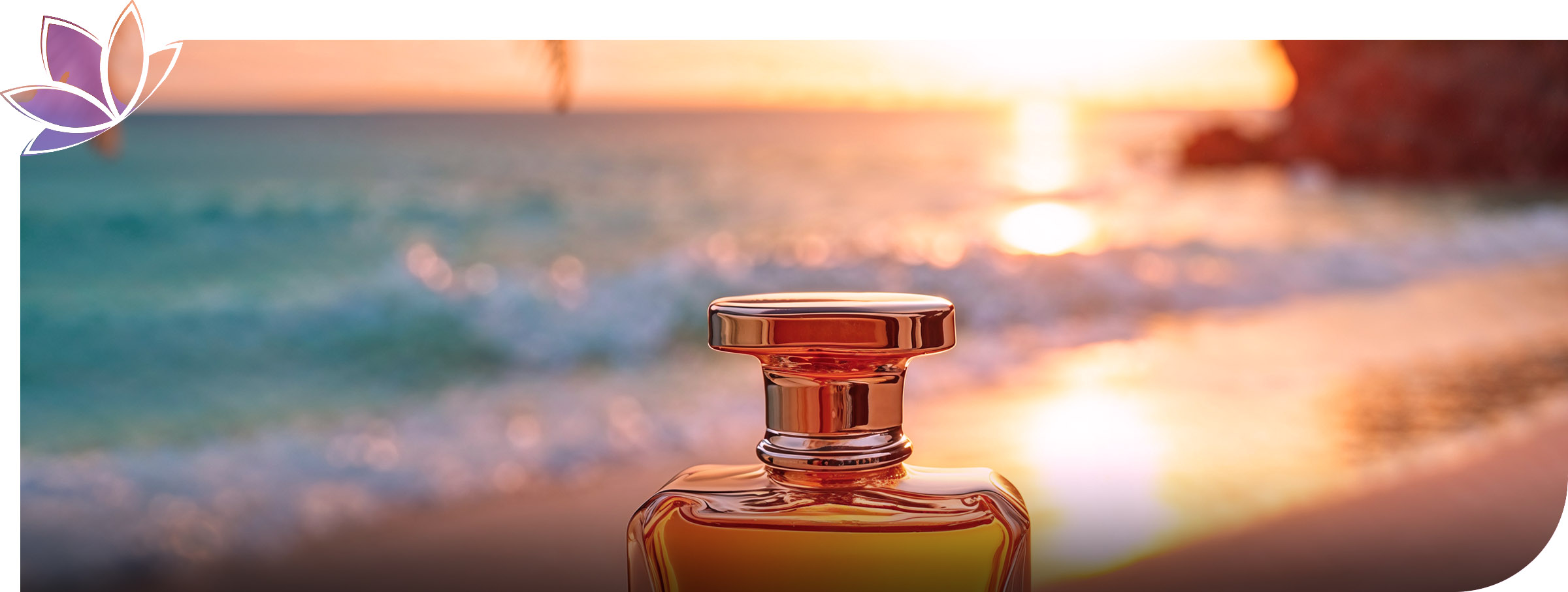 Top 10 des meilleurs parfums de l'été 2025